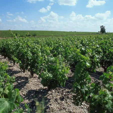 Ibis Bordeaux Emilion فندق 3*