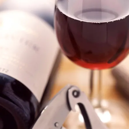 Отель Ibis Bordeaux Emilion