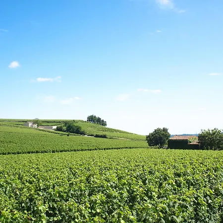 Hotel Ibis Bordeaux Emilion 3*