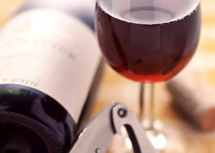 فندق Ibis Bordeaux Emilion