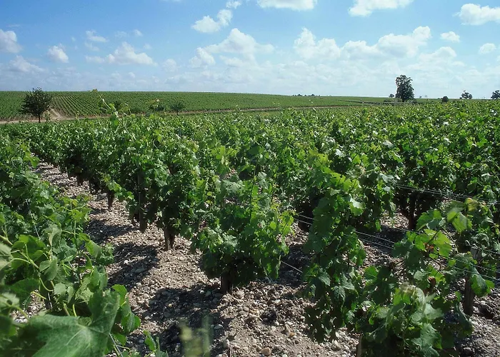 Ibis Bordeaux Emilion